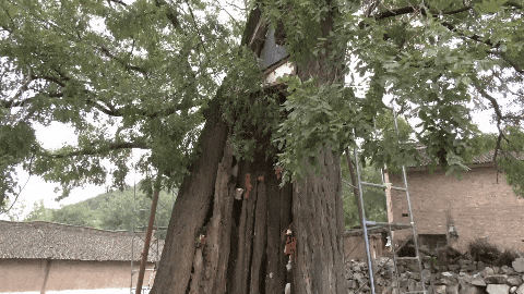640 (1).gif